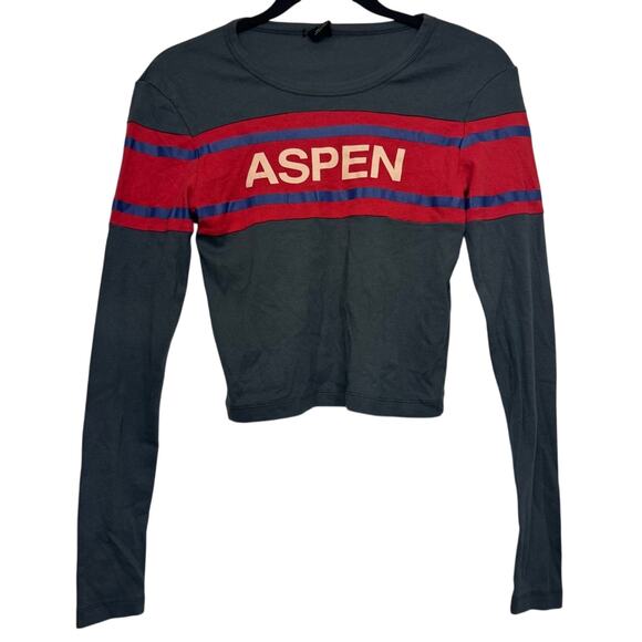 Urban Outfitters Aspen Graphic Long Sleeve Crop Top Gray Red Small - Picture 1 of 6